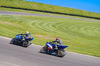 anglesey-no-limits-trackday;anglesey-photographs;anglesey-trackday-photographs;enduro-digital-images;event-digital-images;eventdigitalimages;no-limits-trackdays;peter-wileman-photography;racing-digital-images;trac-mon;trackday-digital-images;trackday-photos;ty-croes